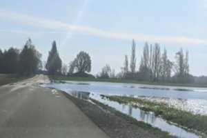 Liūtys dalį Lietuvos skalavo be gailesčio: kai kur iškrito beveik dvi mėnesio kritulių normos