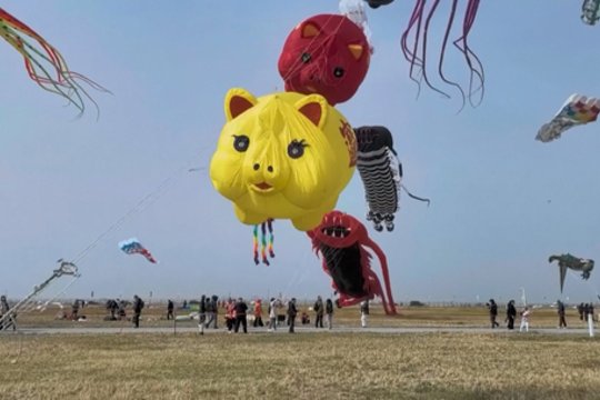 Kinija tęsia ilgalaikę tradiciją: dangų papuošė įspūdingi aitvarai