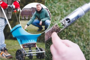 Tik įsikūręs naujuose namuose Kauno rajone agronomas suprato, ko tikrai reikia vejai