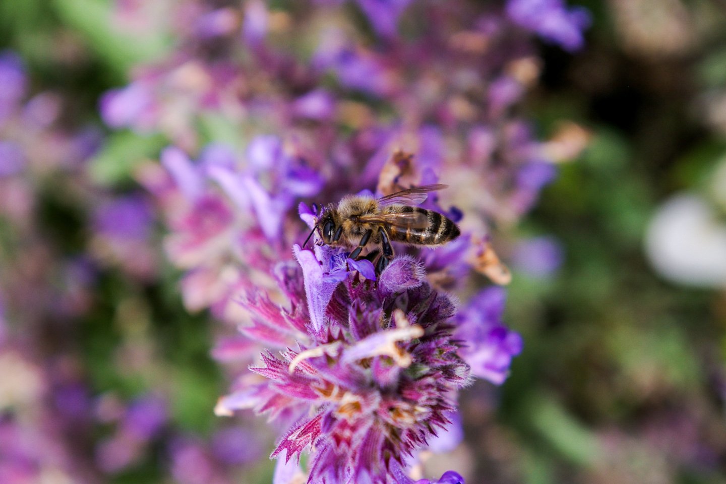 Kėdainių dailės mokyklos MINI galerijoje atidaryta ypatinga paroda.<br>E.Eimontaitės-Jermolajevienės, rengėjų ir kūrėjų nuotr.