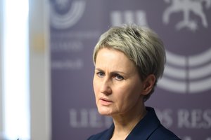 N. Grunskienė atmeta A. Dudėno kaltinimus: „čekiukų“ byla vilkinta dėl politinių motyvų