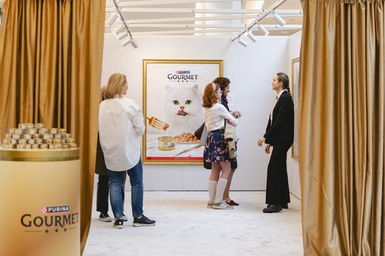 Nuo mados žurnalų žvaigždės iki vyriausiojo peliautojo: Vilniuje vyksta žymiausių pasaulio kačių istorijų paroda