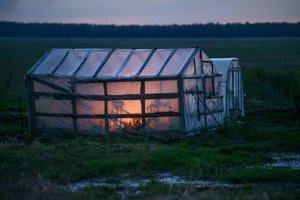 Orų prognozėje – pokyčiai: artėja vėsa ir šalnos