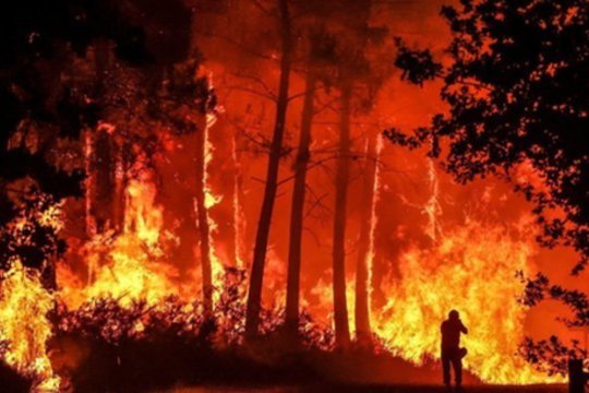 Naujajame Džersyje siaubia miškų gaisrai: uždarytas greitkelis, evakuota tūkstančiai žmonių