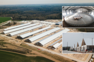 Šalia Radviliškio kyla didžiulis pieno ūkis – bus laikoma 10 tūkst. galvijų, fermose dirbs pusšimtis žmonių