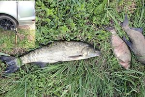 Pasieniečiai sučiupo Nemune žvejojusį brakonierių
