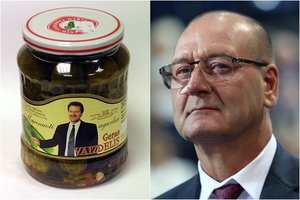 Marinuotų agurkų „Geras vaizdelis“ akcija – Taikos koalicijos politinė agitacija: vertina prekybos tinklų reklamos vertę