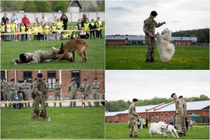 Lietuvos kariuomenėje – Šuns diena: tarnybiniai šunys demonstravo savo sugebėjimus