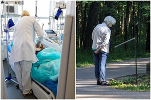 Ko gero, pavojingiausias Lietuvos gamtos gyvis – pernai sukėlė 11 mirčių