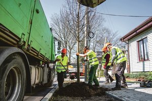 Kauną papuoš dar 250 medžių: išvardijo vietas, kur jie sužaliuos