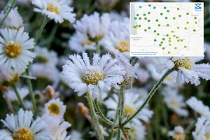 Įvardijo, kur šalnos buvo stipriausios ir kam ruoštis kitąnakt: šals dar stipriau