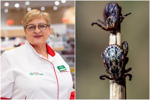 Įkando erkė – ar susirgsiu? Štai kada pasirodo pirmieji simptomai