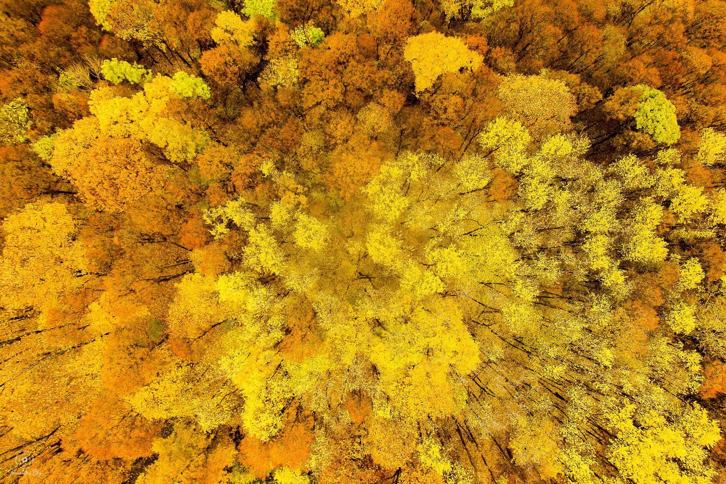 Fotomenininkas Irmantas Gelūnas: „Fotografuojant nesigauna būti žmogumi“<br>I.Gelūno nuotr.