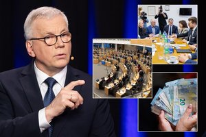 Mokesčių architektai nedrįso suerzinti Seimo liūtų: išryškėjo labai netikėtas sutapimas