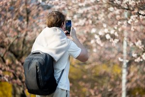 Pavasarinė alergija: patarė, kaip sumažinti žiedadulkių poveikį sveikatai