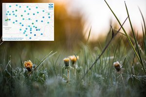 Šalnos praėjusią naktį kandžiojosi itin stipriai: buvome ir prie pat šalčio rekordo