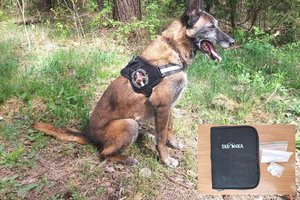 Pakeliui į mokymus pasieniečiai miško kelyje rado piniginę su kvaišalais