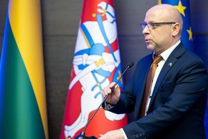 Seimas svarstys siūlymą sudaryti prielaidas greičiau pateikti vykdomuosius dokumentus