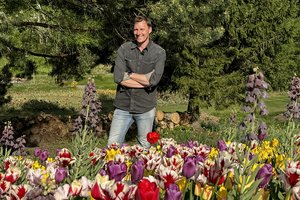 Diktuoja želdynų madas – garsus agronomas ir kuria, ir eksperimentuoja 