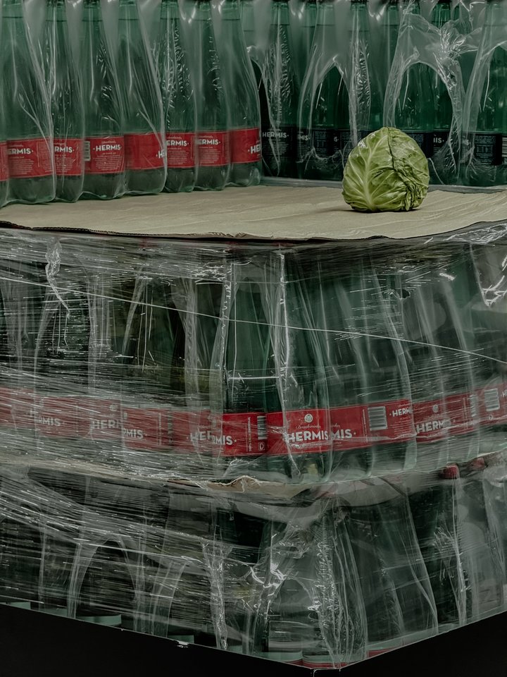 Kadras „Misfit“ laimėjo „Sony World Photography Awards“ Baltijos regiono kategorijoje.<br> Asmeninio archyvo nuotr.