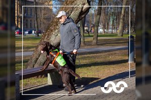 Pirmas šuo asistentas į Lietuvą atvyksta jau gegužės viduryje