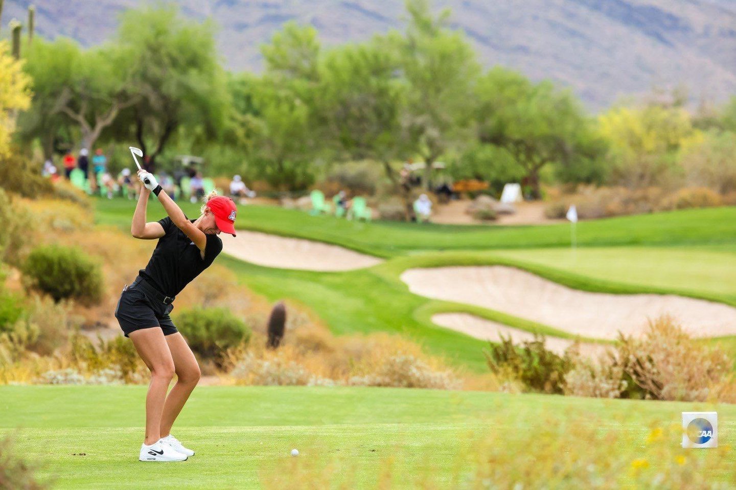 Gilė Bitė Starkutė