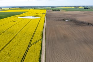 NŽT suformavo beveik 4 tūkst. valstybinių žemės sklypų – paaiškino, ką su jais darys