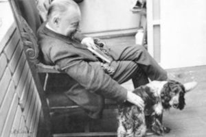 „Šunys nusipelno muziejaus“: už ką juos gerbiame, mylime ir (ne)bijome