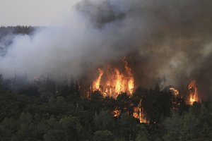 Izraelis dislokavo kariuomenę kovoti su gaisru netoli Jeruzalės
