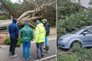 Šį mokestį laiko bausme atsakingiausiems gyventojams: „Siūlymas yra protu nesuvokiamas“