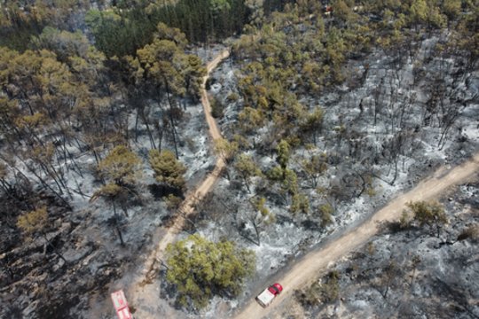 Ugniagesiai: krūmynų gaisrai netoli Jeruzalės iš esmės suvaldyti