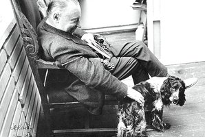 Istorija vizgina uodegą: siūlo pamatyti pasaulį šuns akimis