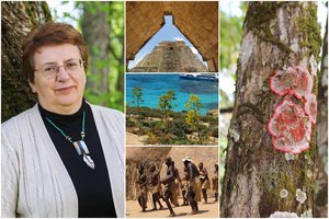 Per pasaulį keliaujanti grybų specialistė juokiasi iš besigydančių kerpėmis: „Lupa visai ne čagą, o bakterinius beržo gumbus“