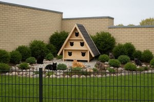 Beglobių gyvūnų dramos Panevėžyje: savanorė siūlo išeitį