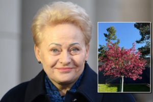 Motinos dienos proga – šiltas Dalios Grybauskaitės sveikinimas: skyrė visai Lietuvai