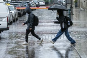 Pavasaris žengs kelis žingsnius atgal: lietus niekur nesitrauks, naktimis kaustys ir šalnos
