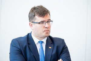 Lietuvoje siūlo įkurti Vytauto Didžiojo vardo gynybos liniją: kainuotų apie 1 milijardą