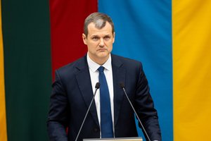 G. Paluckas apie sprendimą dėl naujojo poligono vietos: nemanau, kad šią savaitę darbas bus baigtas