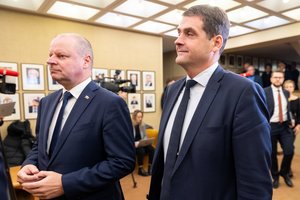 S. Skvernelis siūlo pašalinti R. Žemaitaitį iš NATO Parlamentinės Asamblėjos ir Ekonomikos komiteto narių pavaduotojų