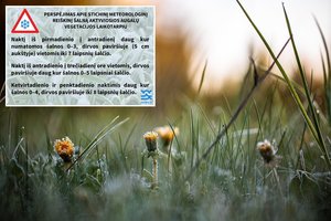 Įspėja saugoti augalus – kai kur šalnos sieks -8 laipsnius: pranešė, kur jos bus smarkiausios