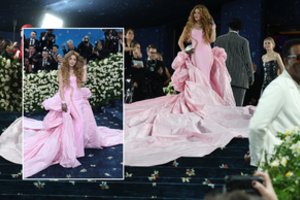 Shakira neskaitė „Met Galos“ kvietimo? Ant kilimo – lyg balta varna, svečiai buvo priversti laukti