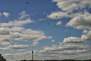 Virš Vilniaus praskrido dešimtys karinių sraigtasparnių – nurodė to priežastį