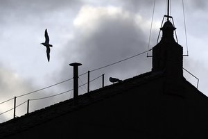 Vatikanas atskleidė, kada iš konklavos pasirodys pirmieji dūmai