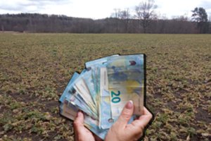 Suarta pieva ūkininkui stipriai atsirūgo – teks sumokėti penkiaženklę baudą