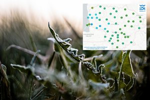 Praėjusią naktį vėl kaustė šalnos: stipriausios – viename Lietuvos regione