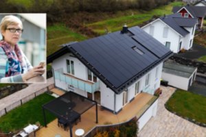 Ingos šeima suskaičiavo, kada jiems atsipirko saulės elektrinė: turi vieną itin vertingą patarimą 