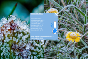 Lietuvoje – naujas šalčio rekordas: viename iš miestų naktis buvo viena žvarbiausių šį pavasarį