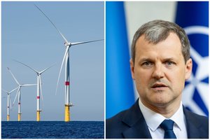 G. Paluckas palaiko planus atlikti pirmo jūros vėjo parko projekto auditą: „Šis Seimas pasižymi gera politine nuovoka“