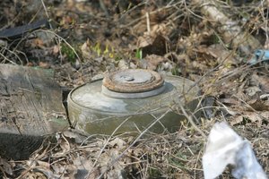 Decision is made: Lithuania withdraws from the Ottawa Convention