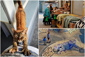 Gyvenimas per objektyvą: Laima Penek fiksuoja ir gatvės gyvenimą, ir istorines akimirkas